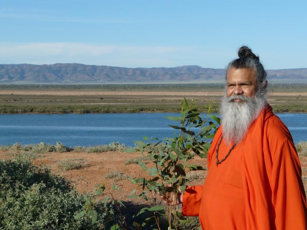 Peace_Tree_Port_Augusta_1