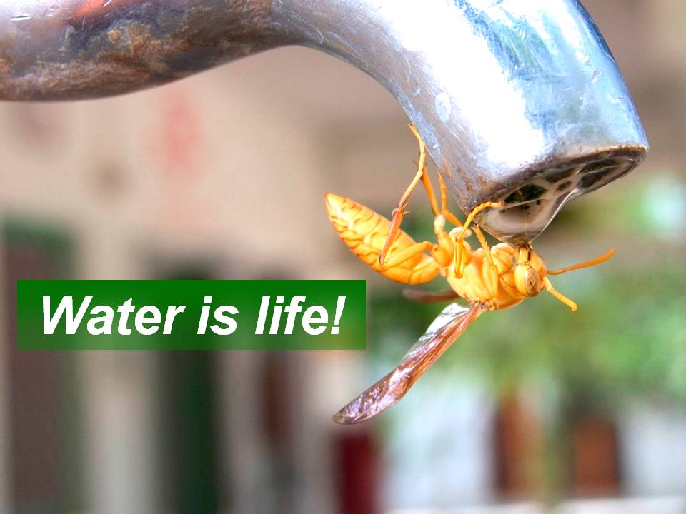 Water is life!