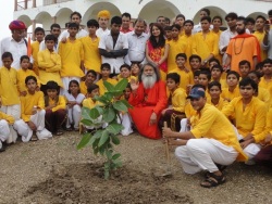 World Peace Trees planting in Jadan