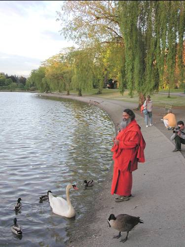 Swamiji with the swans at a lake in Vancouver park