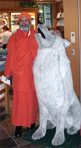 Swamiji with a big wolf