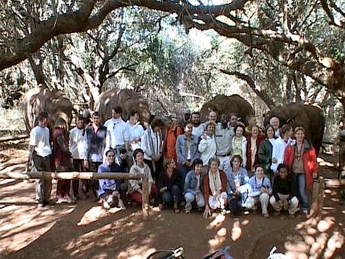 YIDL group with elephants