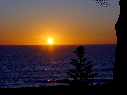 The sun sets on Swamiji\'s 2005 Australian Tour