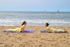 Yoga in Daily Life - The Netherlands